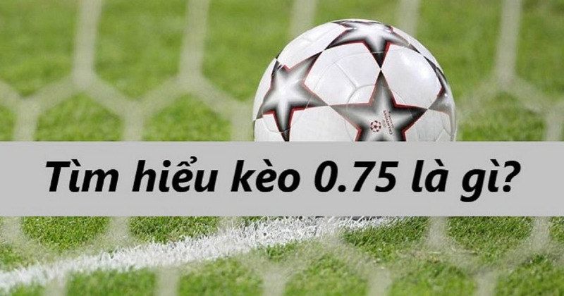 Cược Chấp 0.75 Là Gì? Hướng Dẫn Đặt Cược Hiệu Quả 1 Giới thiệu đôi chút về khái niệm cược chấp 0.75