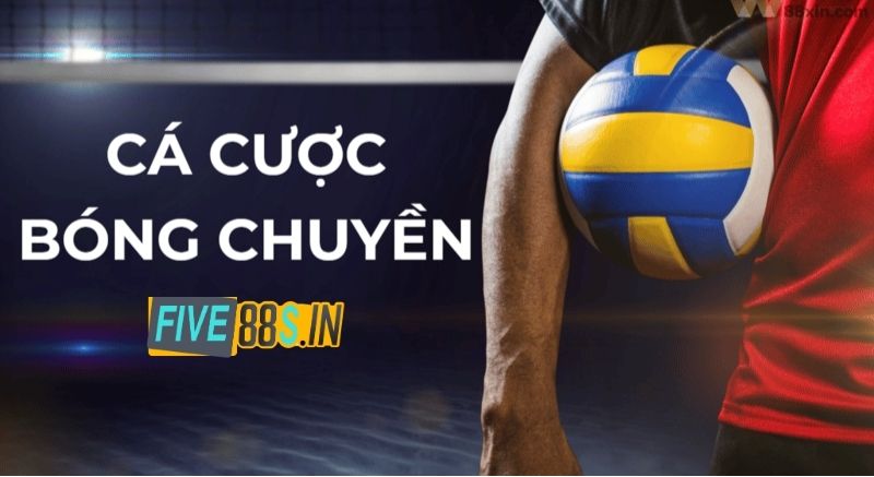 Kèo Bóng Chuyền - Cập Nhật Những Thông Tin Mới Nhất 1 Thông tin hay về cá cược bóng chuyền